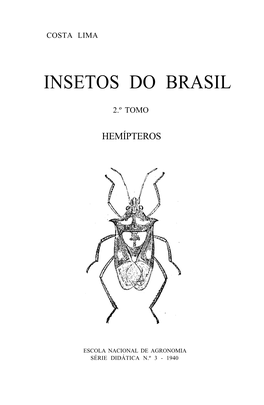 Insetos Do Brasil