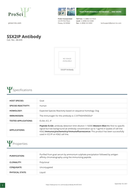 SSX2IP Antibody Cat