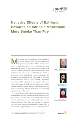 Negative Effects of Extrinsic Rewards on Intrinsic Motivation: More Smoke Than Fire