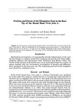 Position and Extent of the Elongation Zone in the Root Tip of the Broad Beanvicia Faba L