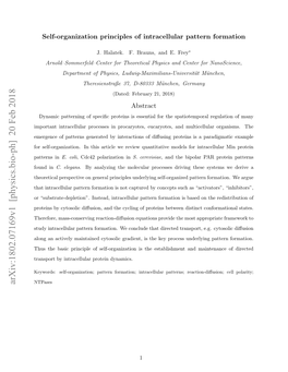 Self-Organization Principles of Intracellular Pattern Formation