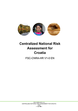 CENTRALIZED NATIONAL RISK ASSESSMENT for CROATIA 2020 – 1 of 186 –