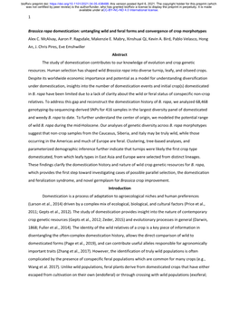 Brassica Rapa Domestication: Untangling Wild and Feral Forms and Convergence of Crop Morphotypes Alex C