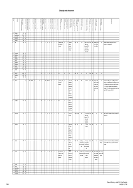 Electricity Needs Assessment