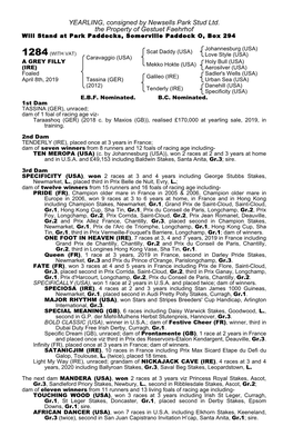 YEARLING, Consigned by Newsells Park Stud Ltd. the Property of Gestuet Faehrhof Will Stand at Park Paddocks, Somerville Paddock O, Box 294