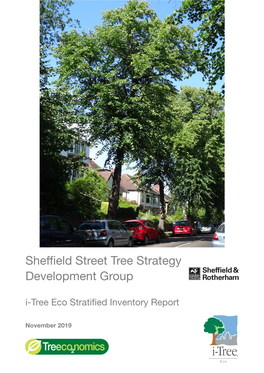 Sheffield Street Tree Strategy Development Group