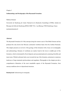 Chapter 3 Sedimentology and Stratigraphy of the Baynunah