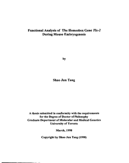 Functional Analysis of the Homeobox Gene Tur-2 During Mouse Embryogenesis