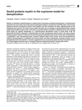 Dock3 Protects Myelin in the Cuprizone Model for Demyelination