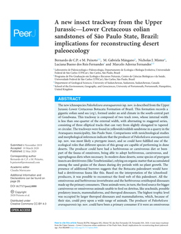 A New Insect Trackway from the Upper Jurassic—Lower Cretaceous Eolian Sandstones of São Paulo State, Brazil: Implications for Reconstructing Desert Paleoecology