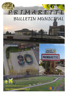 Bulletin Municipal N° 30/2017