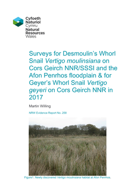 Surveys for Desmoulin's Whorl Snail Vertigo Moulinsiana on Cors Geirch