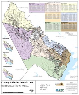 County Wide Election Districts