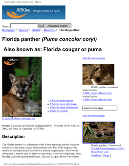 Florida Panther - Puma Concolor Coryi - Arkive