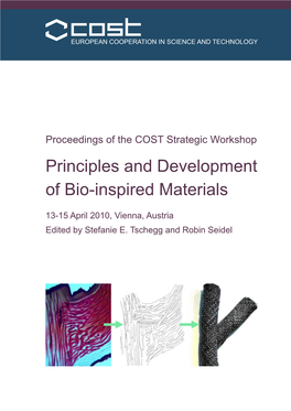 Principles and Development of Bio-Inspired Materials