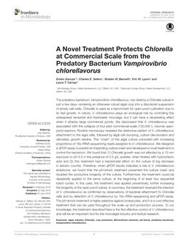 A Novel Treatment Protects Chlorella at Commercial Scale from the Predatory Bacterium Vampirovibrio Chlorellavorus