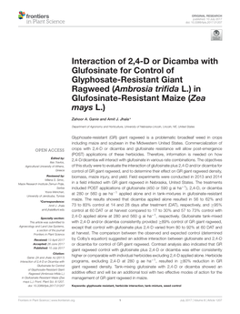 Interaction of 2,4-D Or Dicamba with Glufosinate for Control of Glyphosate-Resistant Giant Ragweed (Ambrosia Triﬁda L.) in Glufosinate-Resistant Maize (Zea Mays L.)