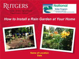 How to Install a Rain Garden at Home