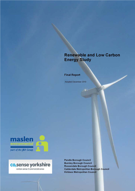 Renewable & Low Carbon Energy Study