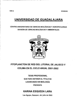 Universidad De Guadalajara