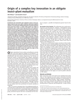 Origin of a Complex Key Innovation in an Obligate Insect–Plant Mutualism