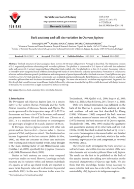 Bark Anatomy and Cell Size Variation in Quercus Faginea