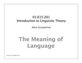 The Meaning of Language