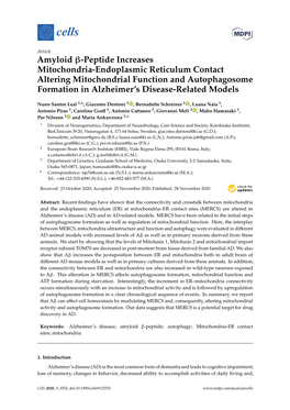 Amyloid Β-Peptide Increases Mitochondria-Endoplasmic