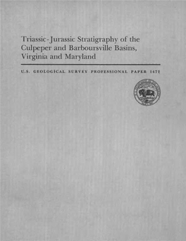 Triassic- Jurassic Stratigraphy Of