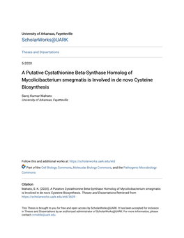 A Putative Cystathionine Beta-Synthase Homolog of Mycolicibacterium Smegmatis Is Involved in De Novo Cysteine Biosynthesis