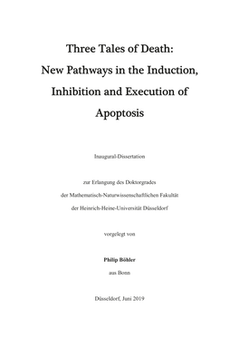 Dissertation Philip Böhler