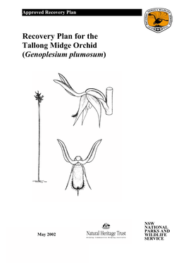 Recovery Plan for the Tallong Midge Orchid (Genoplesium Plumosum)