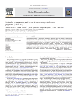 Molecular Phylogenetic Position of Hexacontium Pachydermum Jørgensen (Radiolaria)