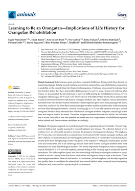 Learning to Be an Orangutan—Implications of Life History for Orangutan Rehabilitation