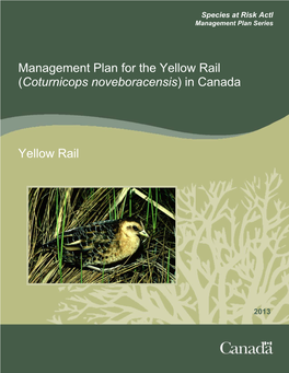 Management Plan for the Yellow Rail in Canada
