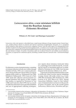 Laimosemion Ubim, a New Miniature Killifish from the Brazilian Amazon (Teleostei: Rivulidae)