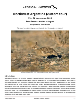 Northwest Argentina (Custom Tour) 13 – 24 November, 2015 Tour Leader: Andrés Vásquez Co-Guided by Sam Woods