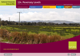 NCA Profile:124 Pevensey Levels