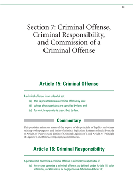 Section 7: Criminal Offense, Criminal Responsibility, and Commission of a Criminal Offense