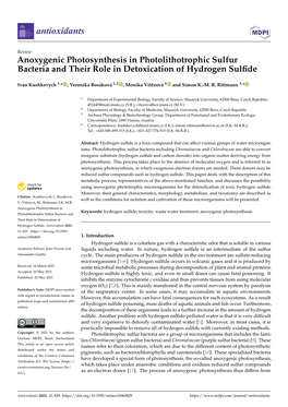 Anoxygenic Photosynthesis in Photolithotrophic Sulfur Bacteria and Their Role in Detoxication of Hydrogen Sulﬁde