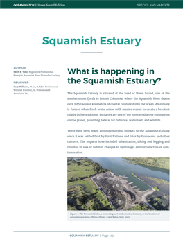 Squamish Estuary