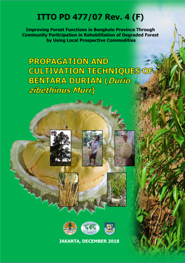 PROPAGATION and CULTIVATION TECHNIQUES of BENTARA DURIAN (Durio Zibethinus Murr)