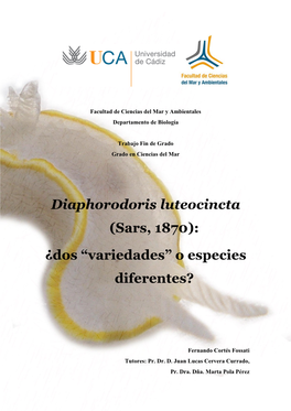 Diaphorodoris Luteocincta (Sars, 1870): ¿Dos “Variedades” O Especies Diferentes?