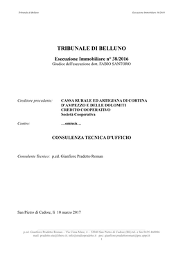 Tribunale Di Belluno Esecuzione Immobiliare 38/2016