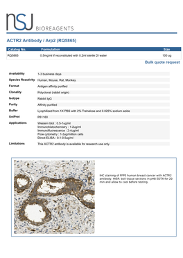 ACTR2 Antibody / Arp2 (RQ5865)