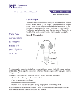 Cystoscopy to Understand a Cystoscopy, It Is Helpful to Become Familiar with the Urinary System (Figure 1)