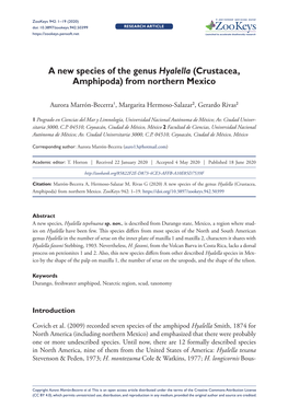 A New Species of the Genus Hyalella (Crustacea, Amphipoda) from Northern Mexico