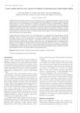 A New Section and Two New Species of Podaxis (Gasteromycetes) from South Africa