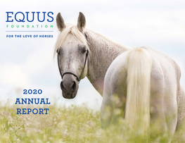 2020 Annual Report