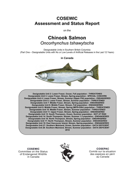 Chinook Salmon Oncorhynchus Tshawytscha